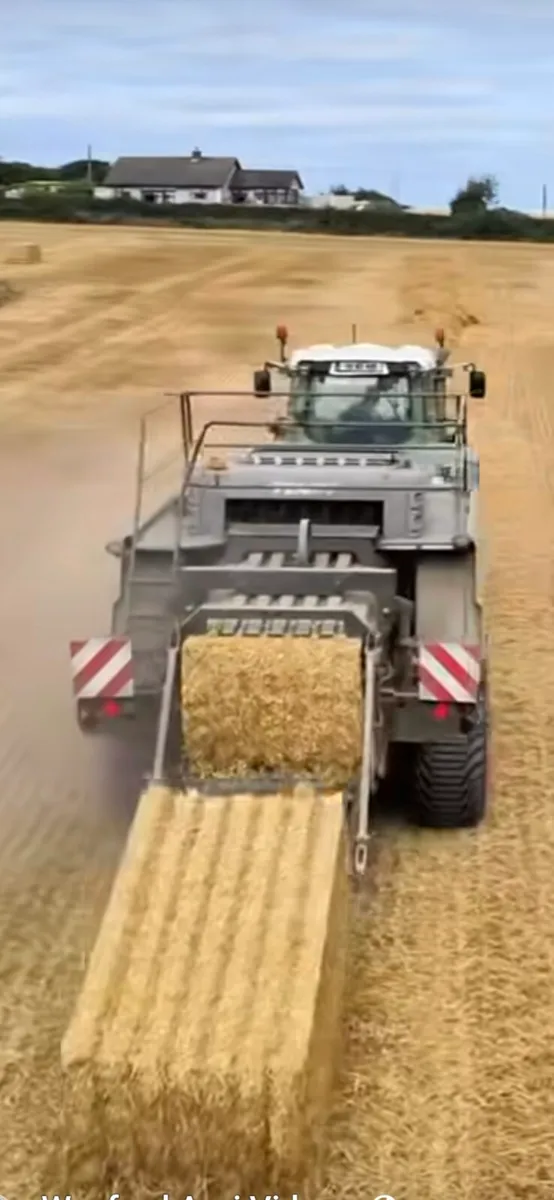 Straw 8x4x3 Barley, Wheat, Oat