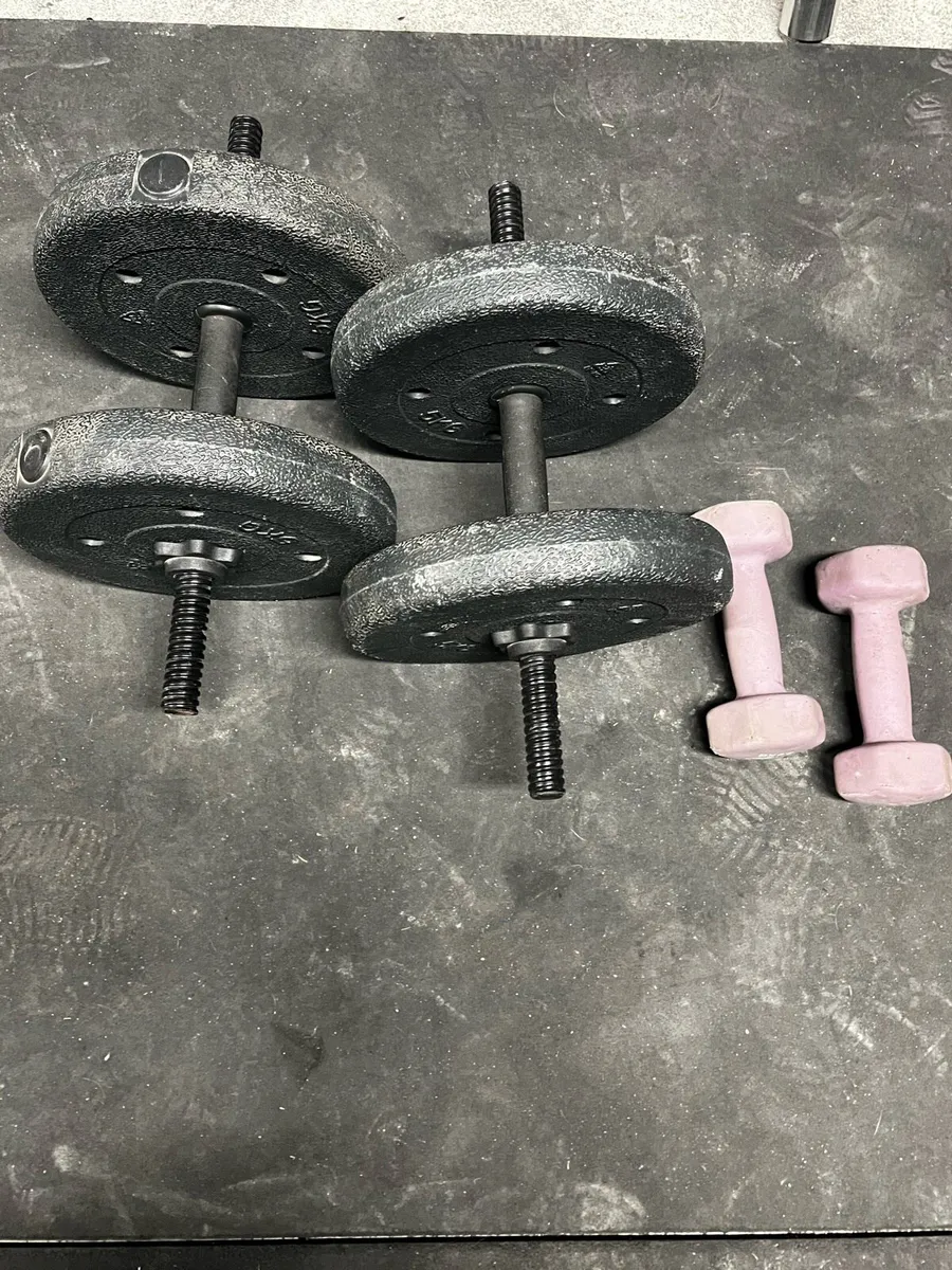 Bench press/pull up and dip bar and weights - Image 4