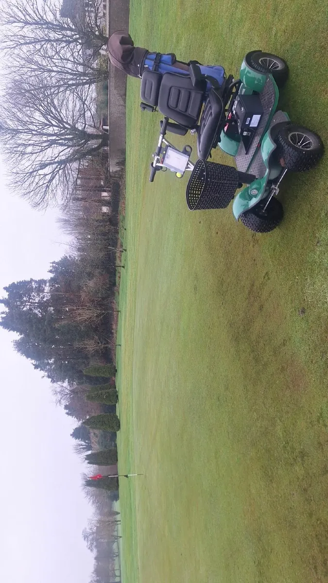 Golf Buggy - Image 2