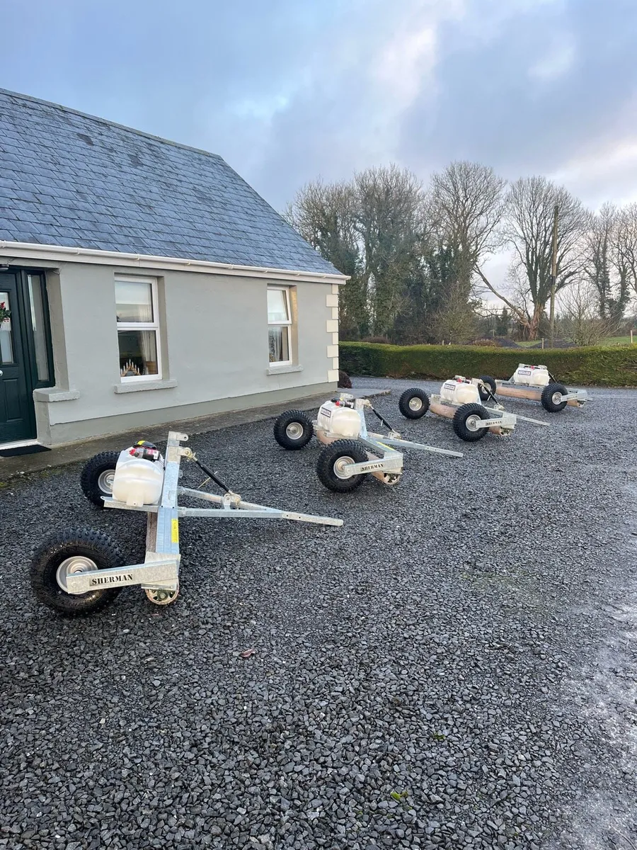 Sherman lickers - Image 2