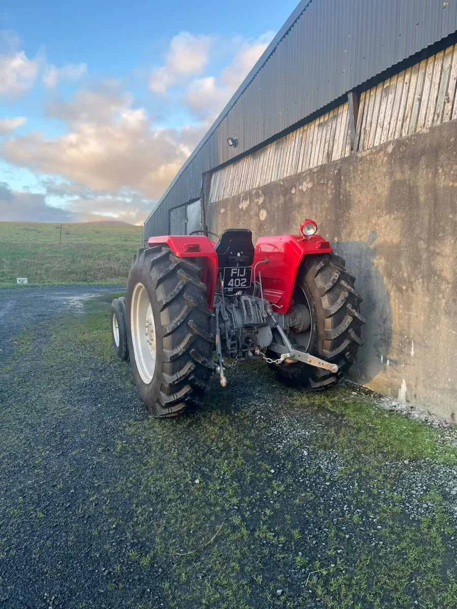 Massey Ferguson 185 vintage - Image 2