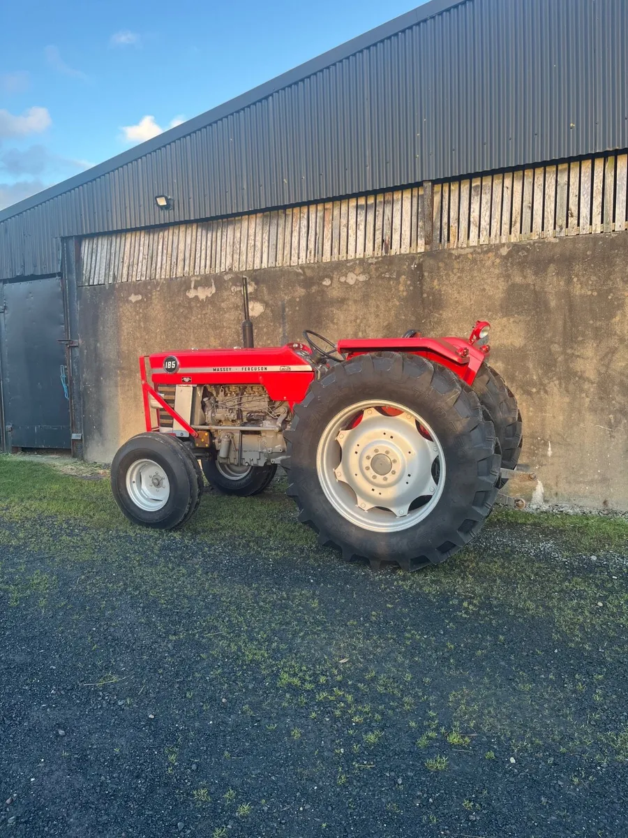 Massey Ferguson 185 vintage - Image 3