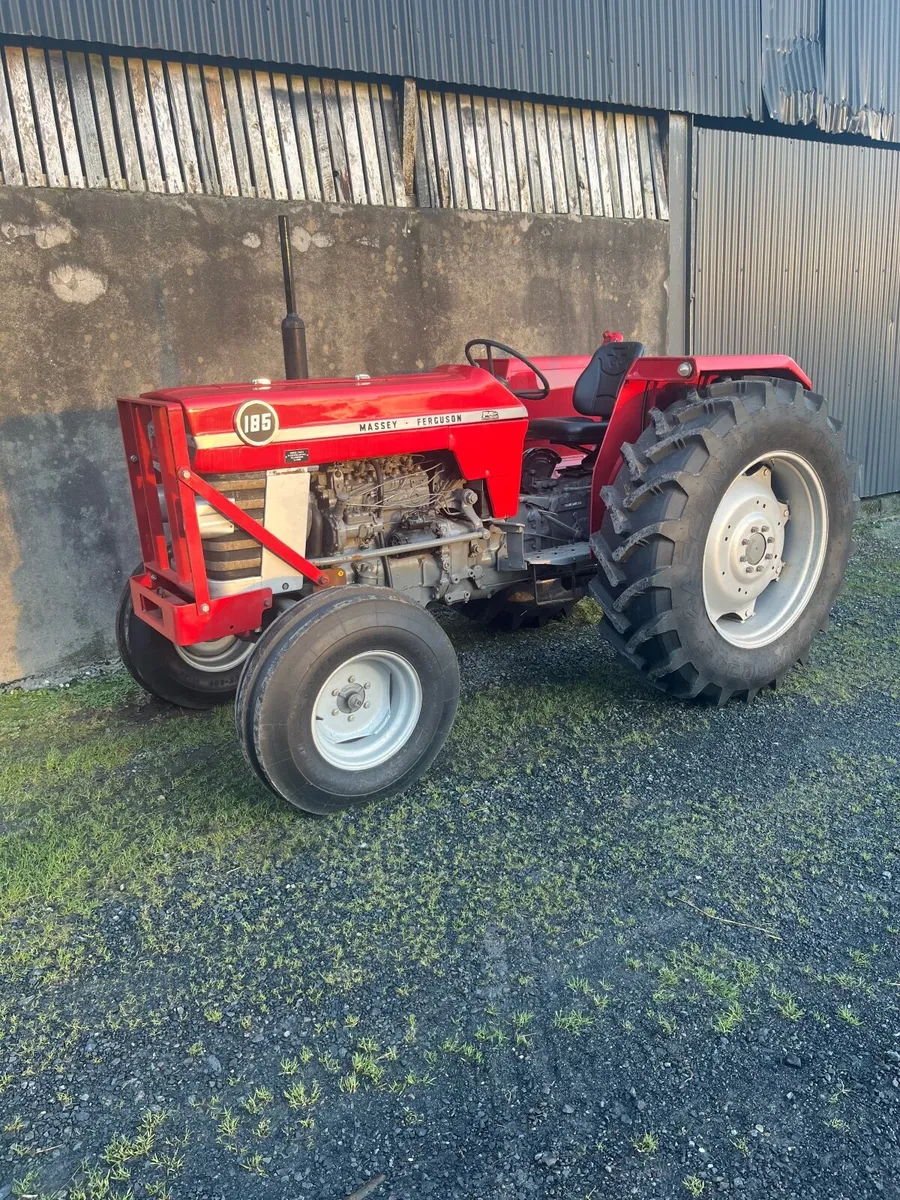 Massey Ferguson 185 vintage - Image 1