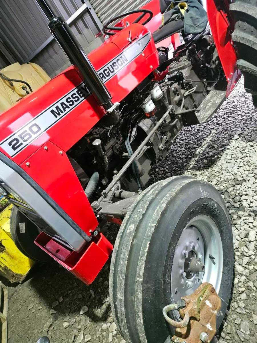Massey 250 - Image 4