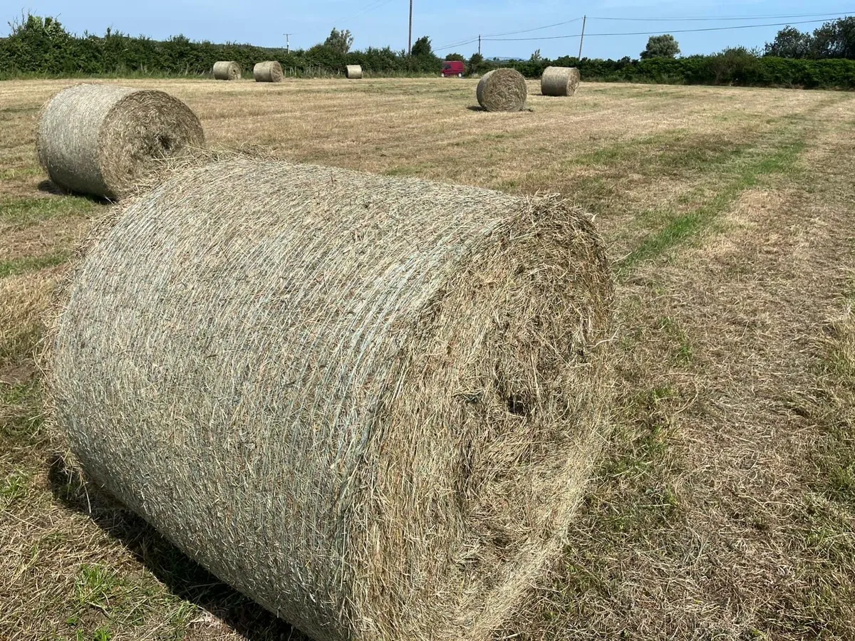 Hay and silage for sale - Image 1