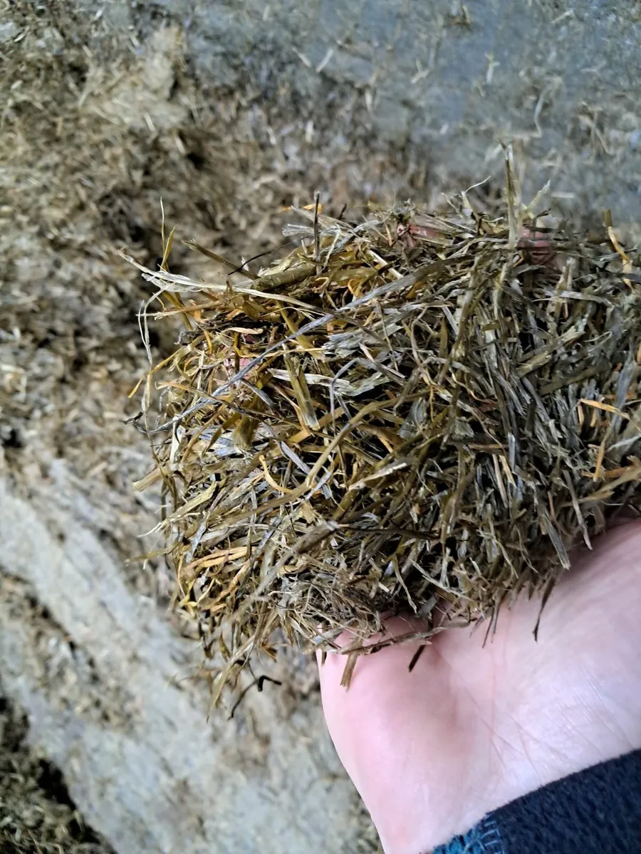 Silage - Image 1