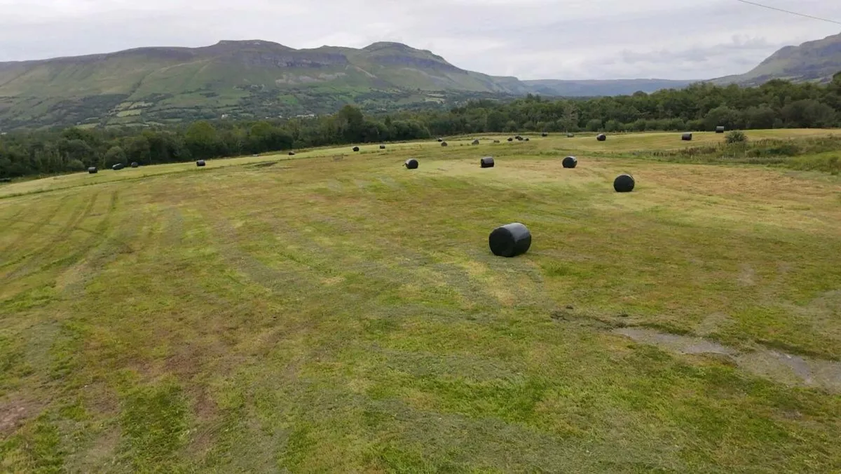 Round bales - Image 1