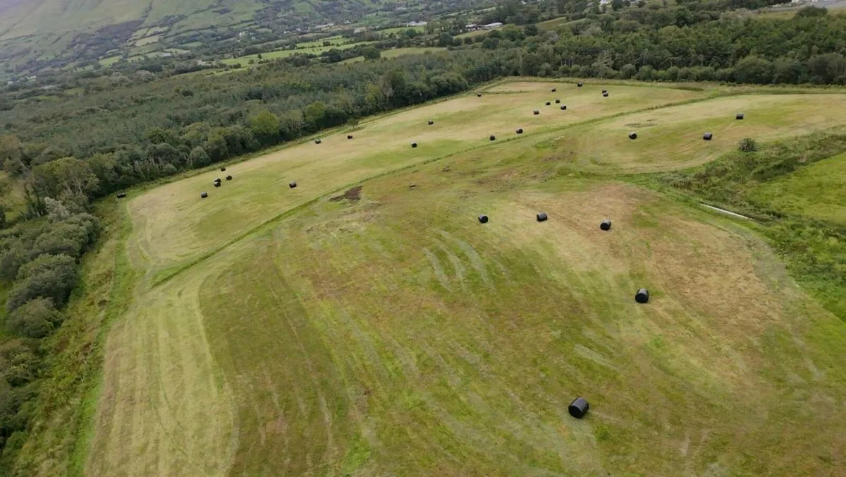 Round bales - Image 2