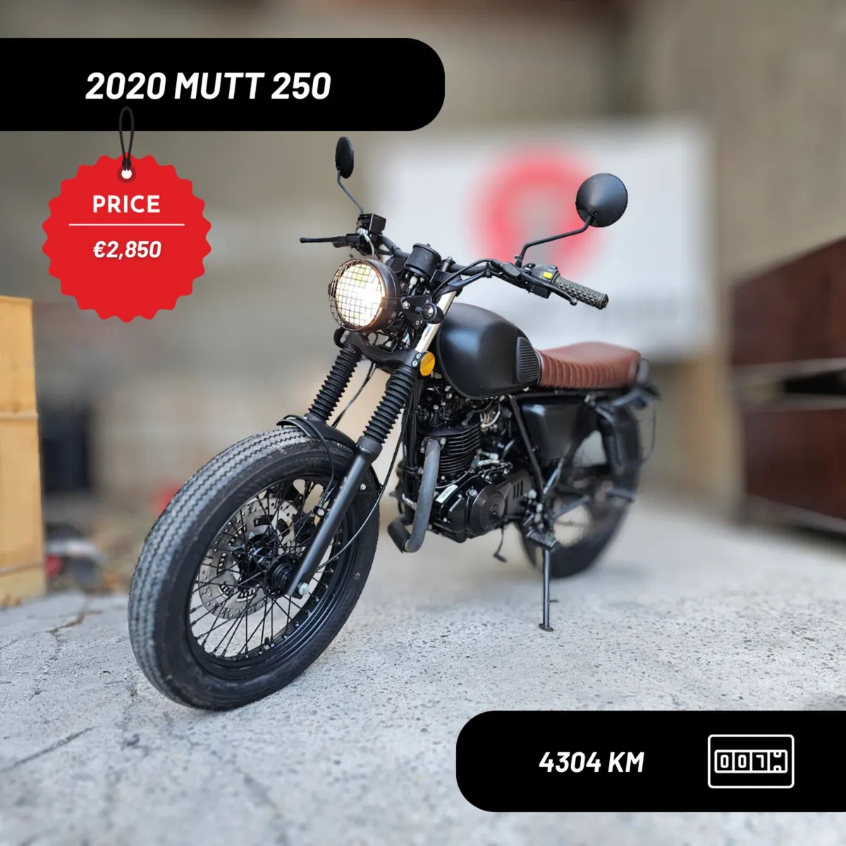 2020 MUTT 250 - Image 1