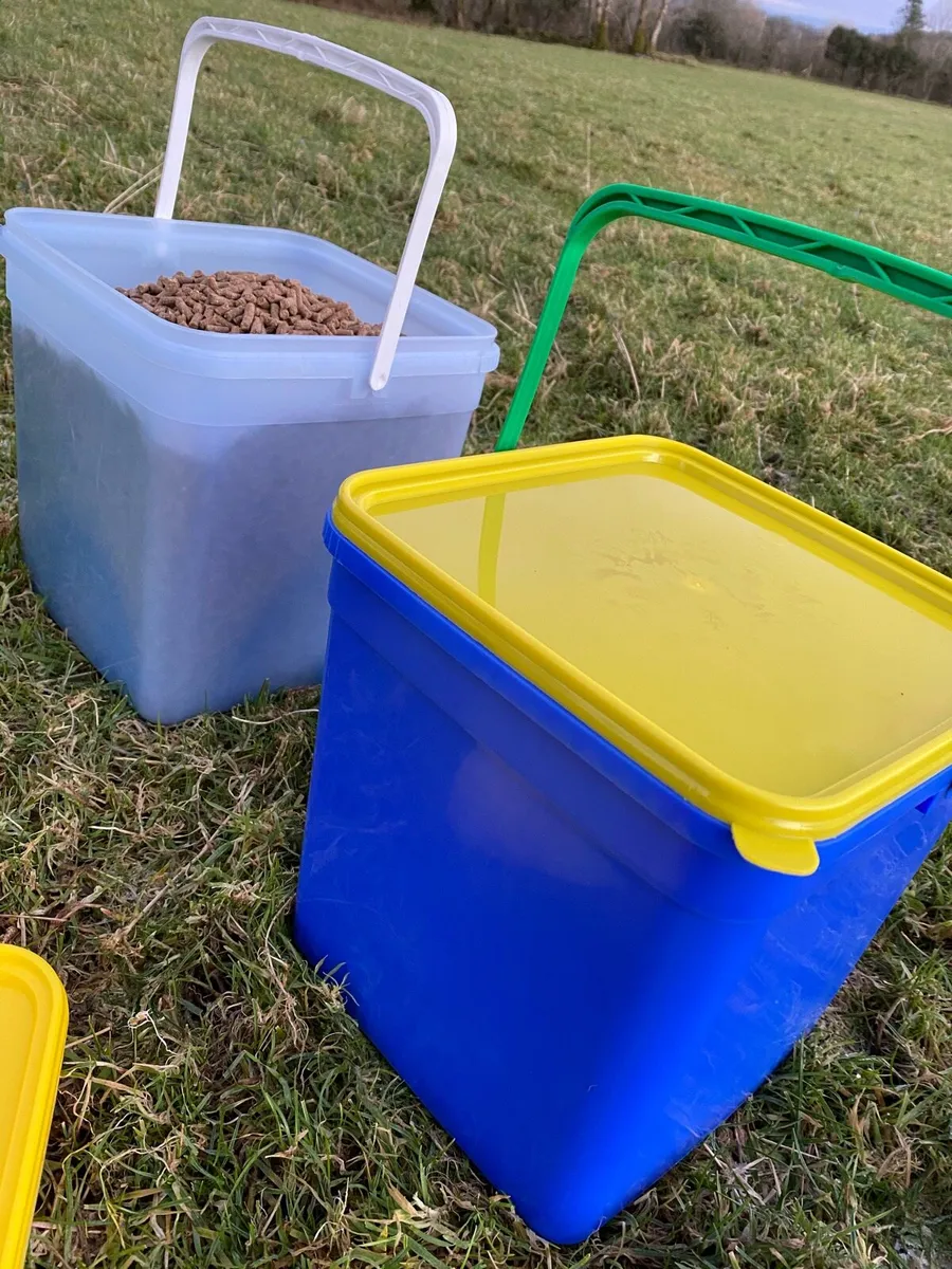 Lambing pen/ multipurpose buckets - Image 3