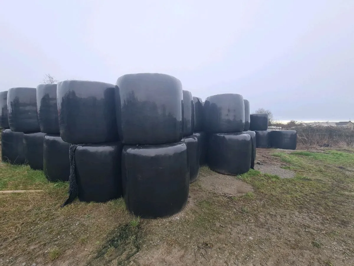HAYLAGE BALES - Image 1