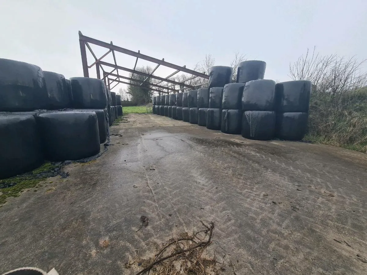 HAYLAGE BALES - Image 2