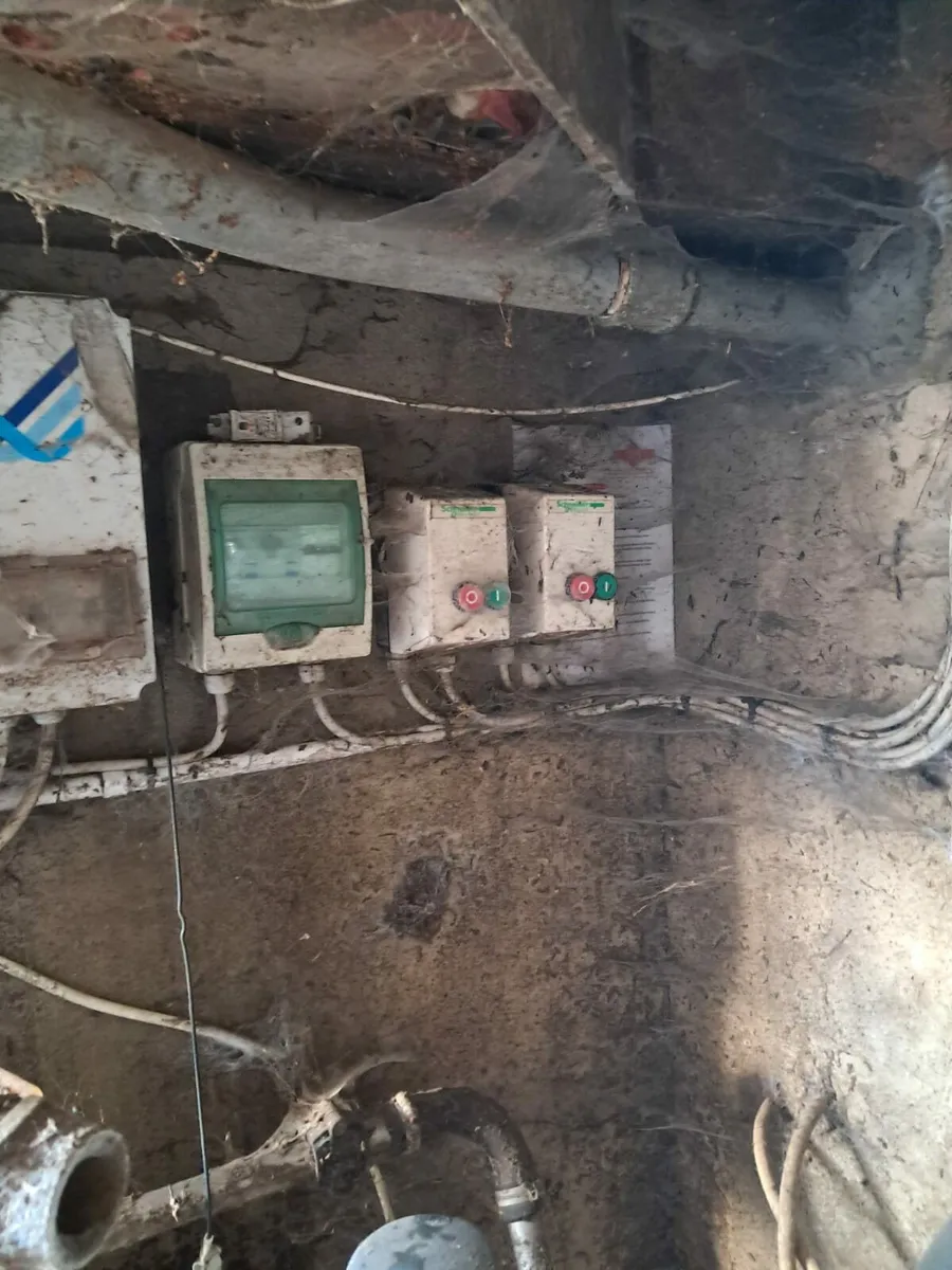 IDS batch feeding for milking parlour - Image 2