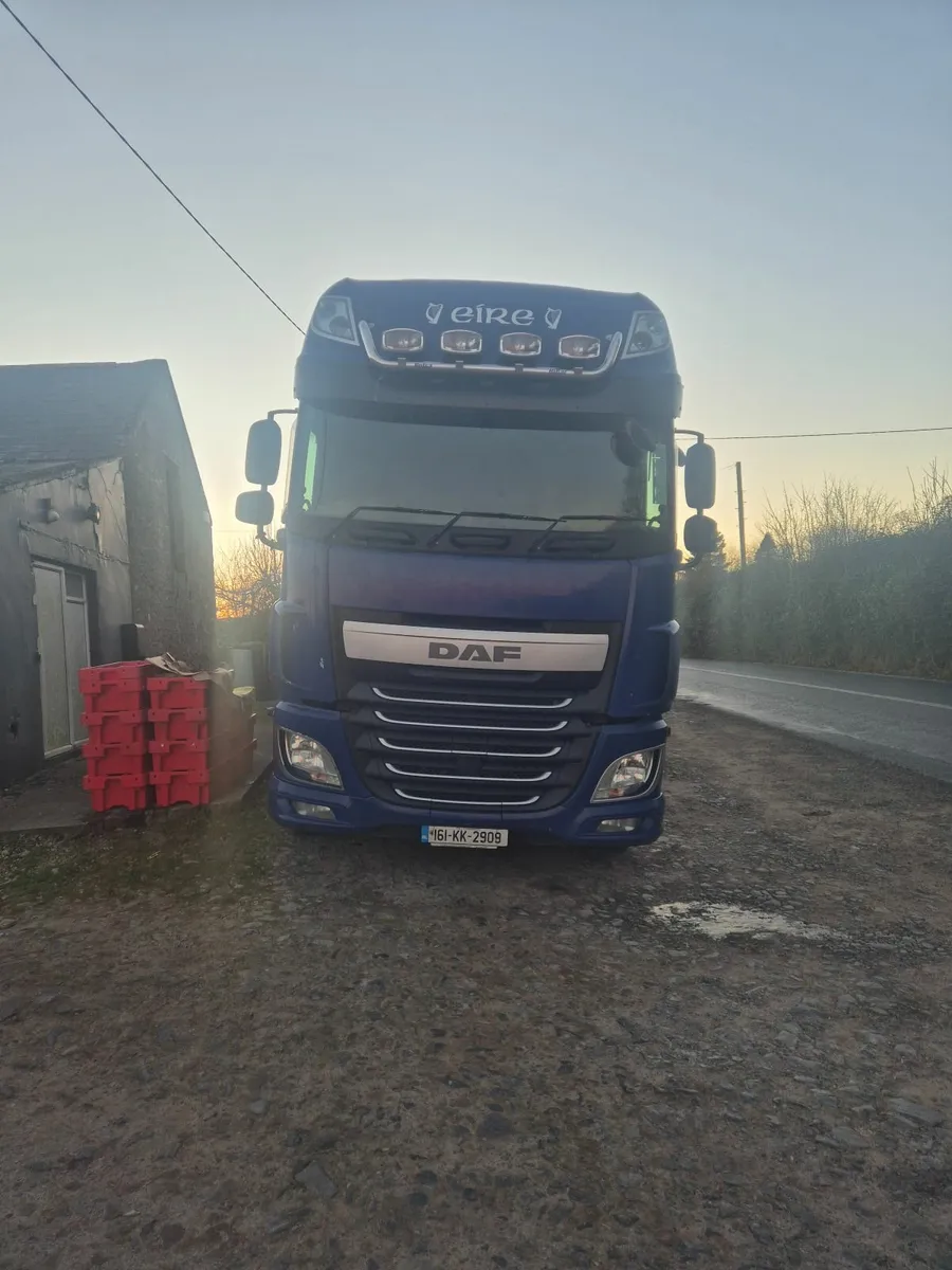 DAF Other 2016 106 . 9 months doe - Image 1