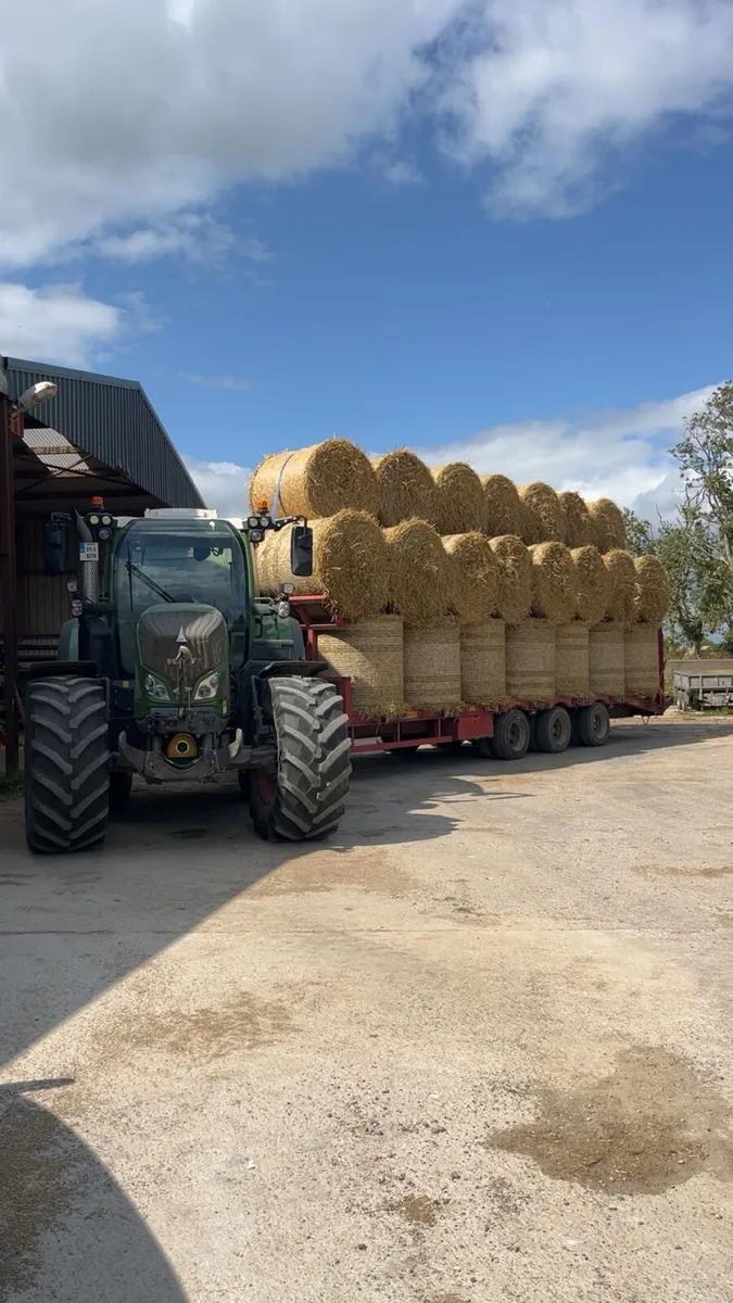 straw bales for sale - Image 1