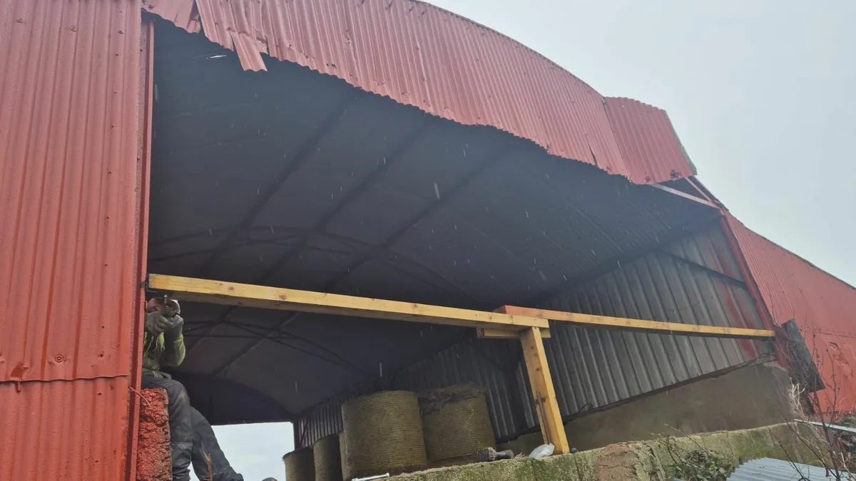 Munster Farm Shed Repairs & Painting - Image 4