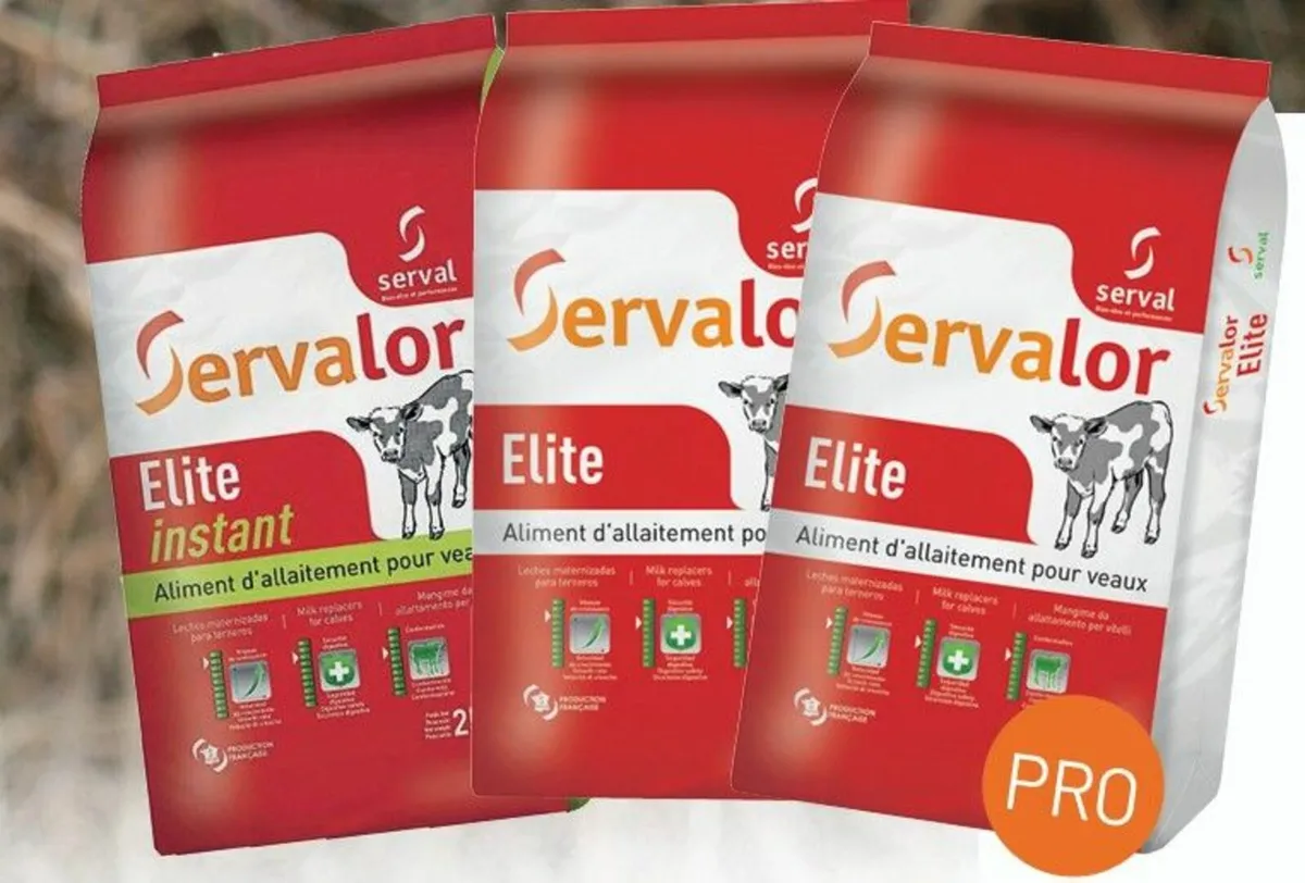 Calf Milk Replacer (Premium Quality & Performance) - Image 1