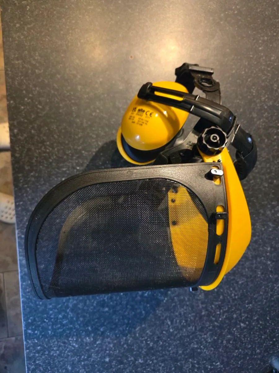 Chain Saw - Petrol - Brand NEW - Image 4
