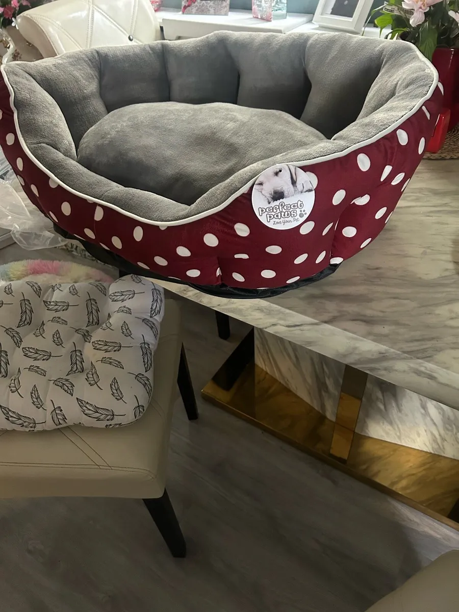 Dog beds - Image 1