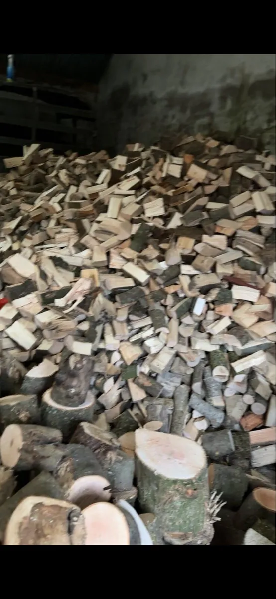 Log Splitter Hire - Image 3