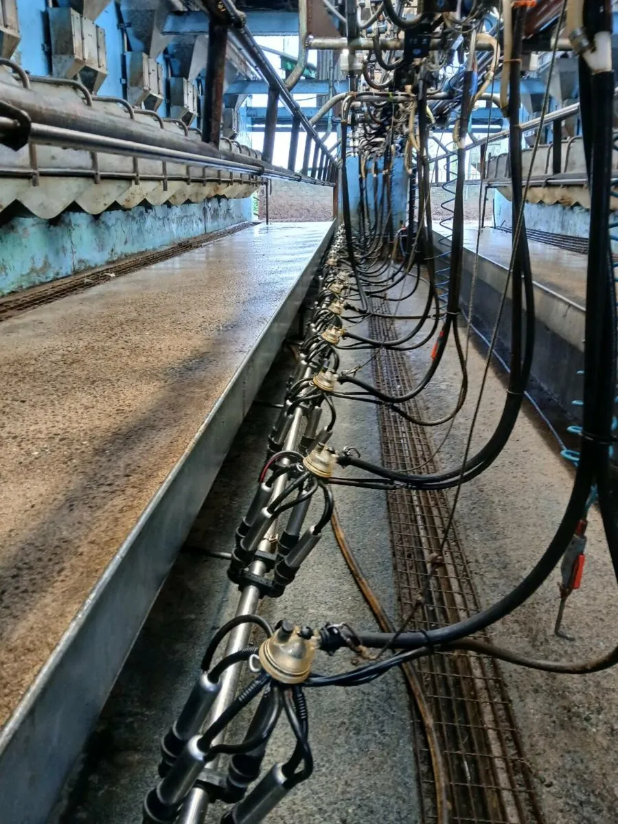 Delaval milking parlour - Image 1