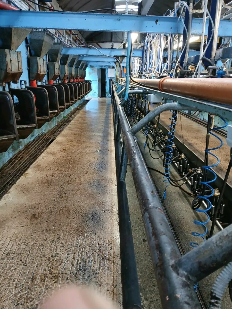 Delaval milking parlour - Image 4