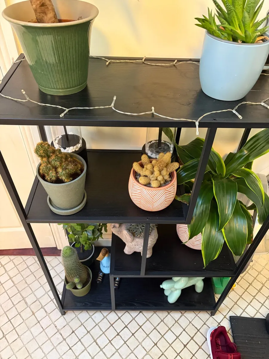 Black shelves - Image 1