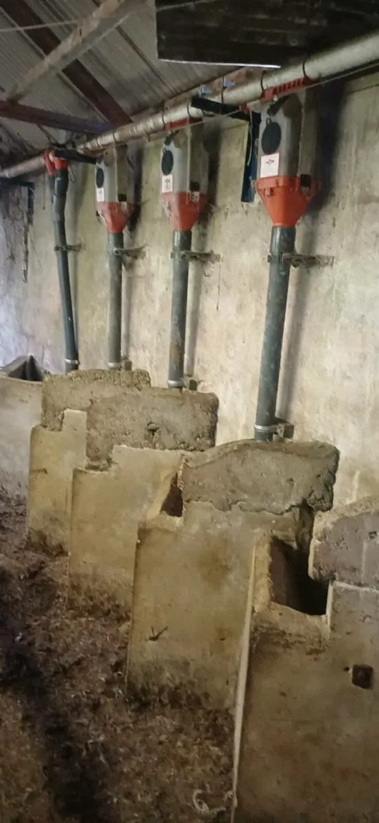 Batch feeders with auger - Image 1