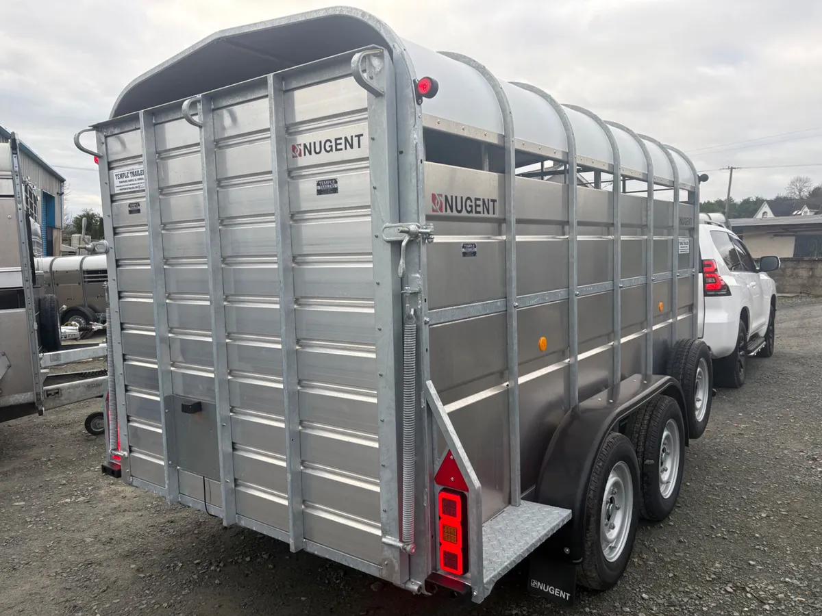 New Nugent 12x6 Cattle Trailer - Image 3