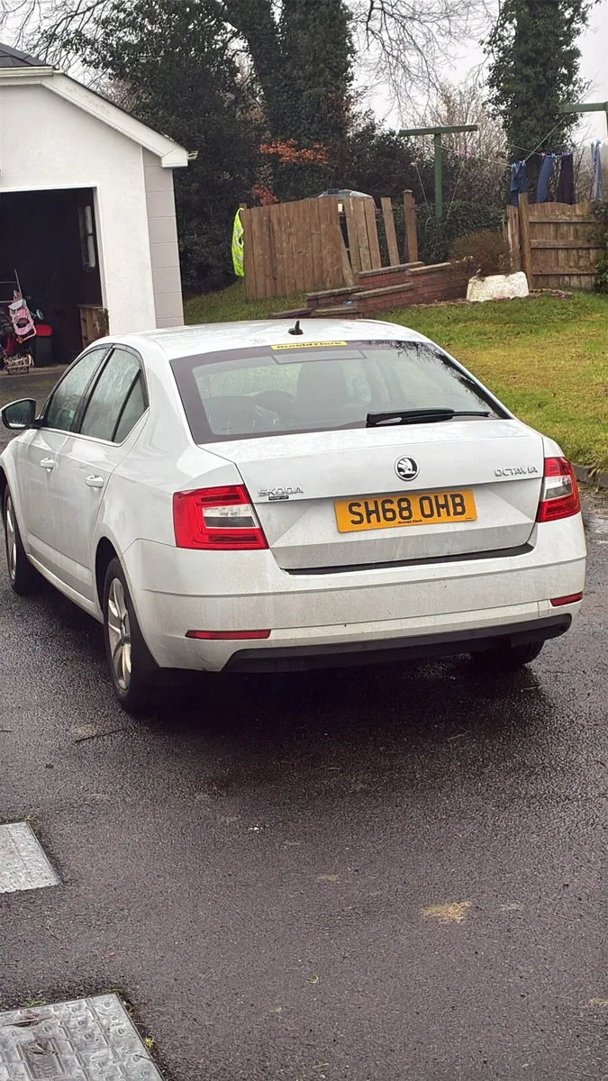 Skoda Octavia 2019 parts/breaking - Image 2