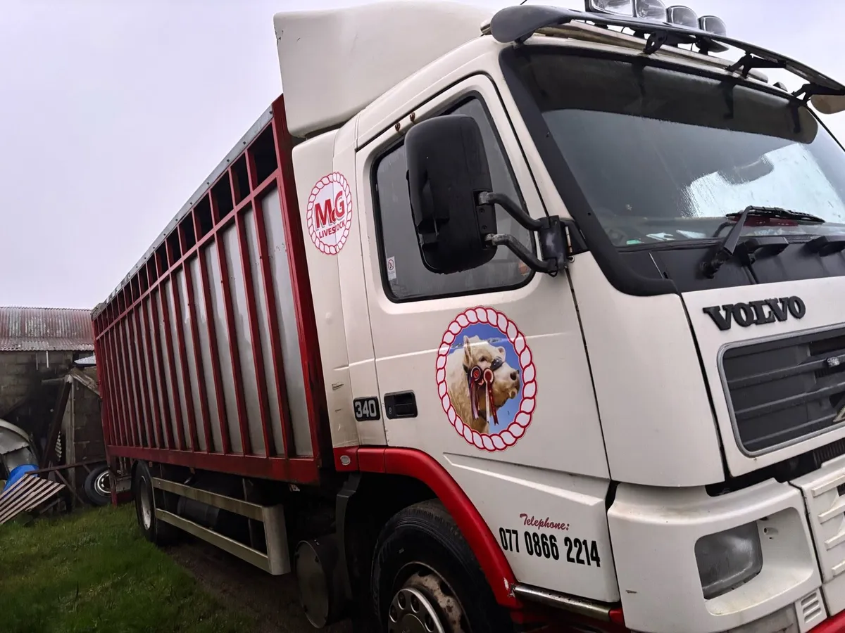 Volvo fm 12 cattle lorry - Image 2