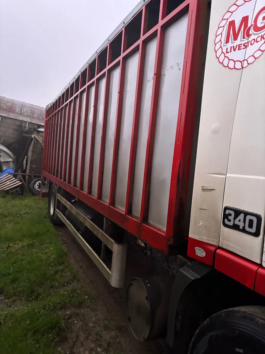 Volvo fm 12 cattle lorry - Image 4