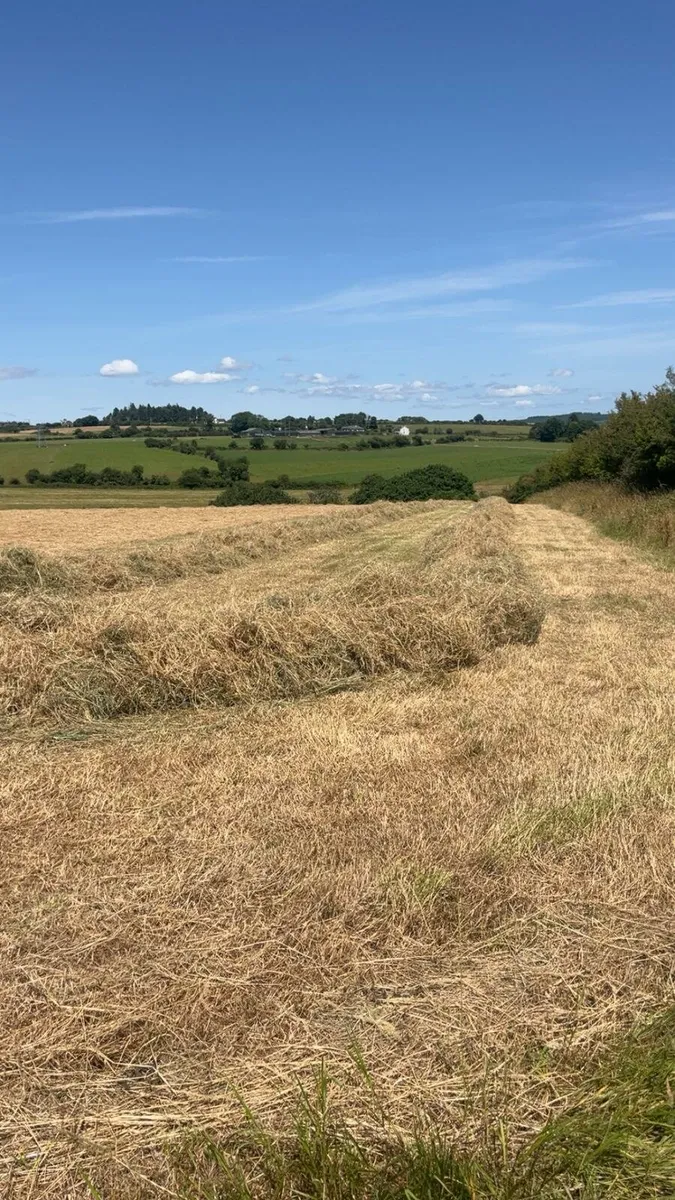 Square bale of hay - Image 1