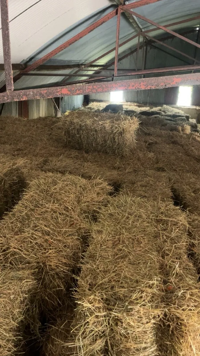 Square bale of hay - Image 2
