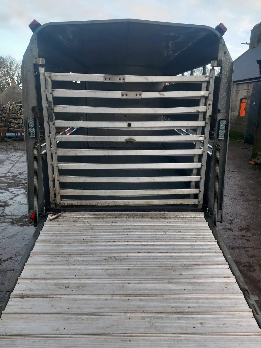 Cattle Trailer - Image 4