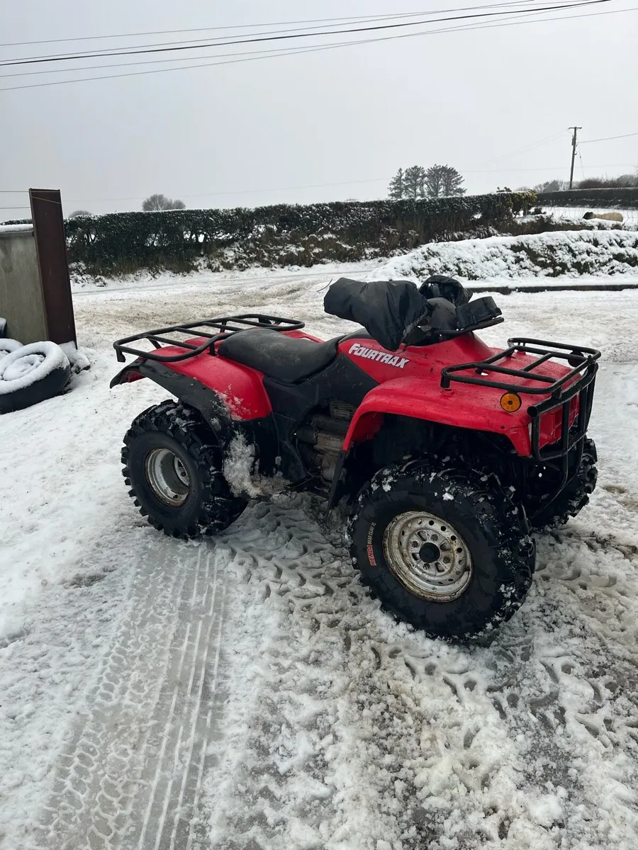 Honda quad 250cc fourtrax - Image 2