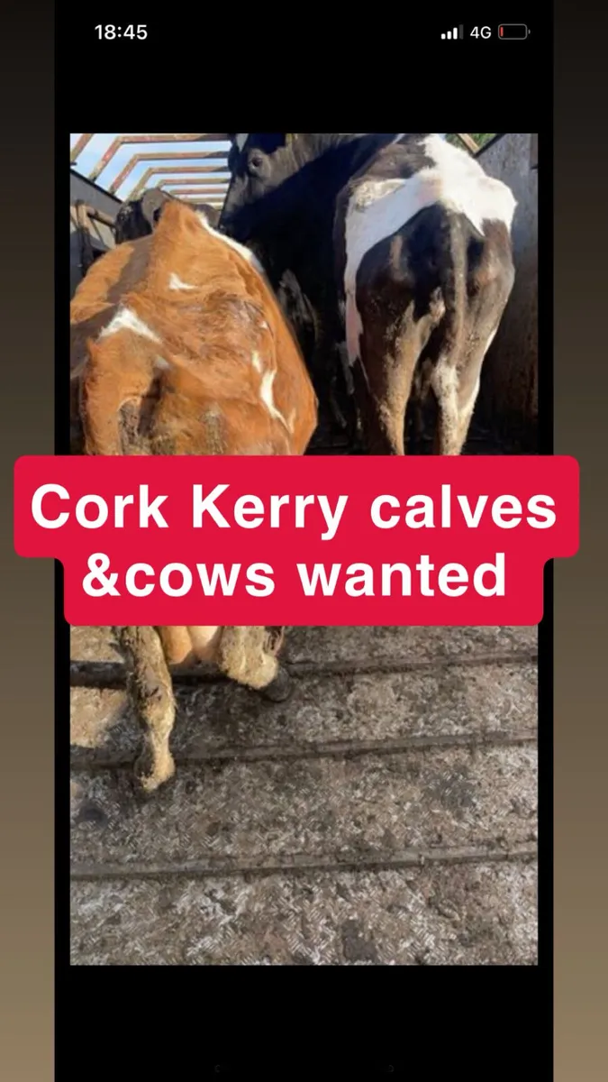 All types of stock wanted