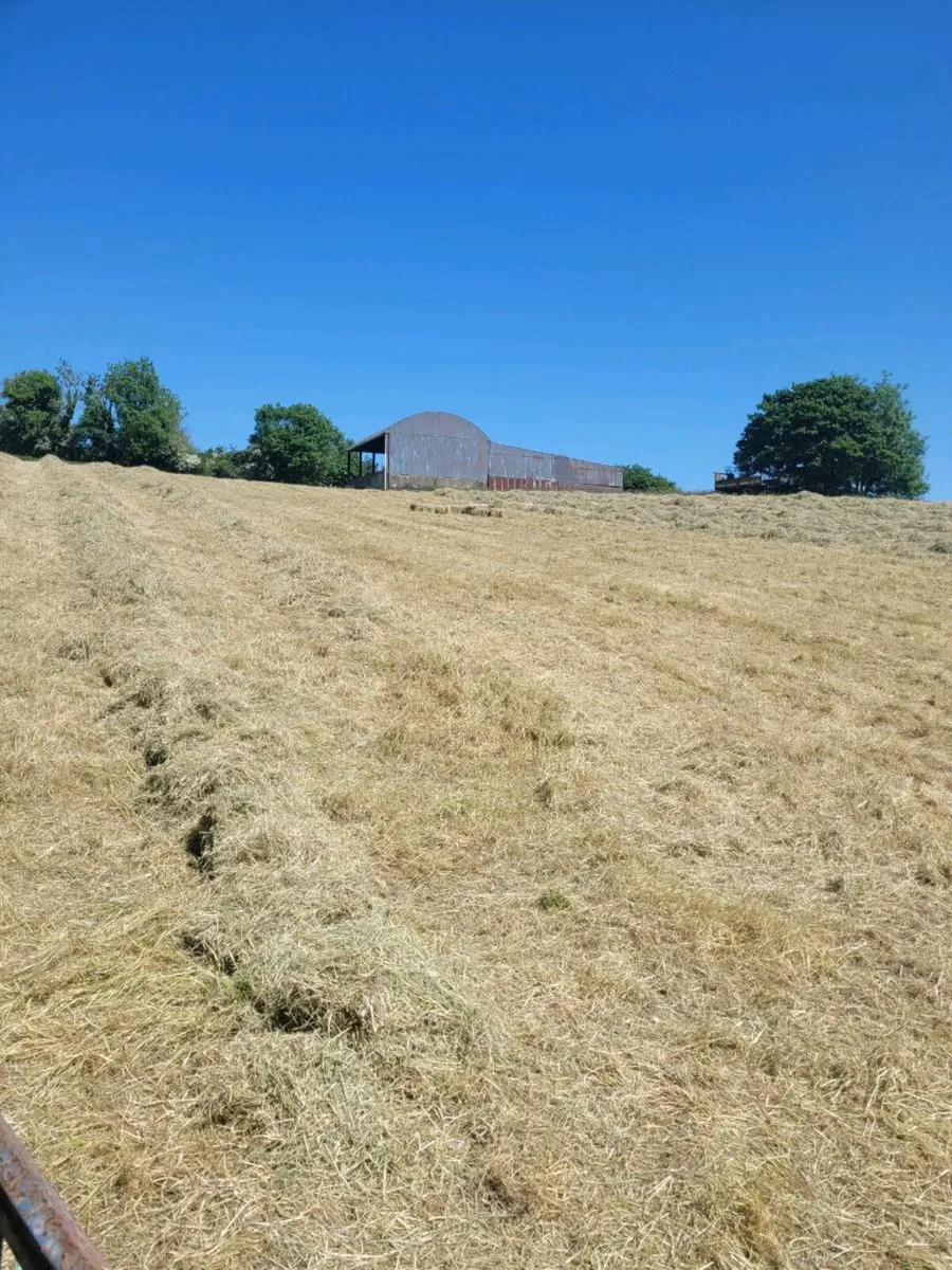 Small bales of hay - Image 2