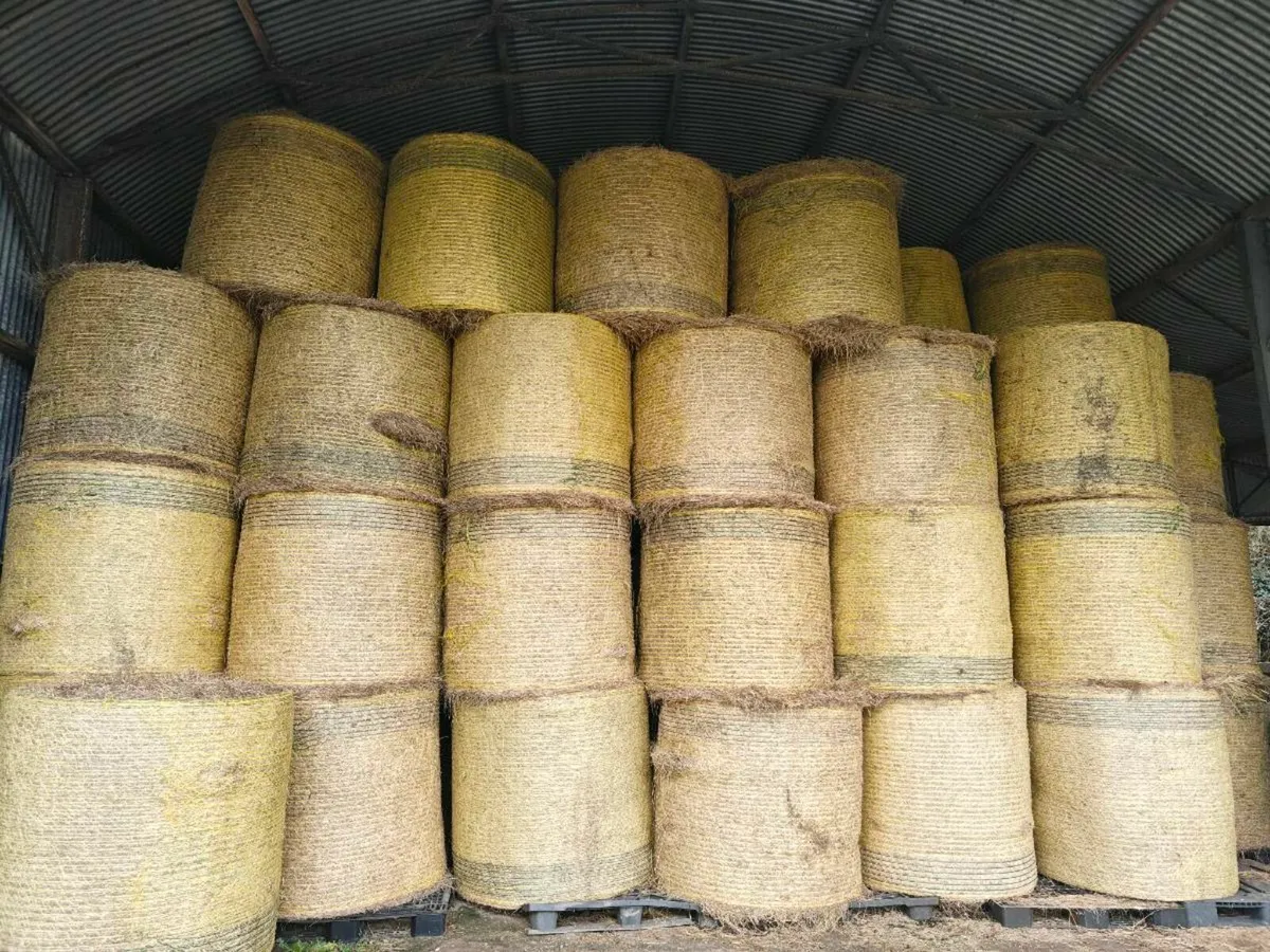 Hay and Haylage - Image 1