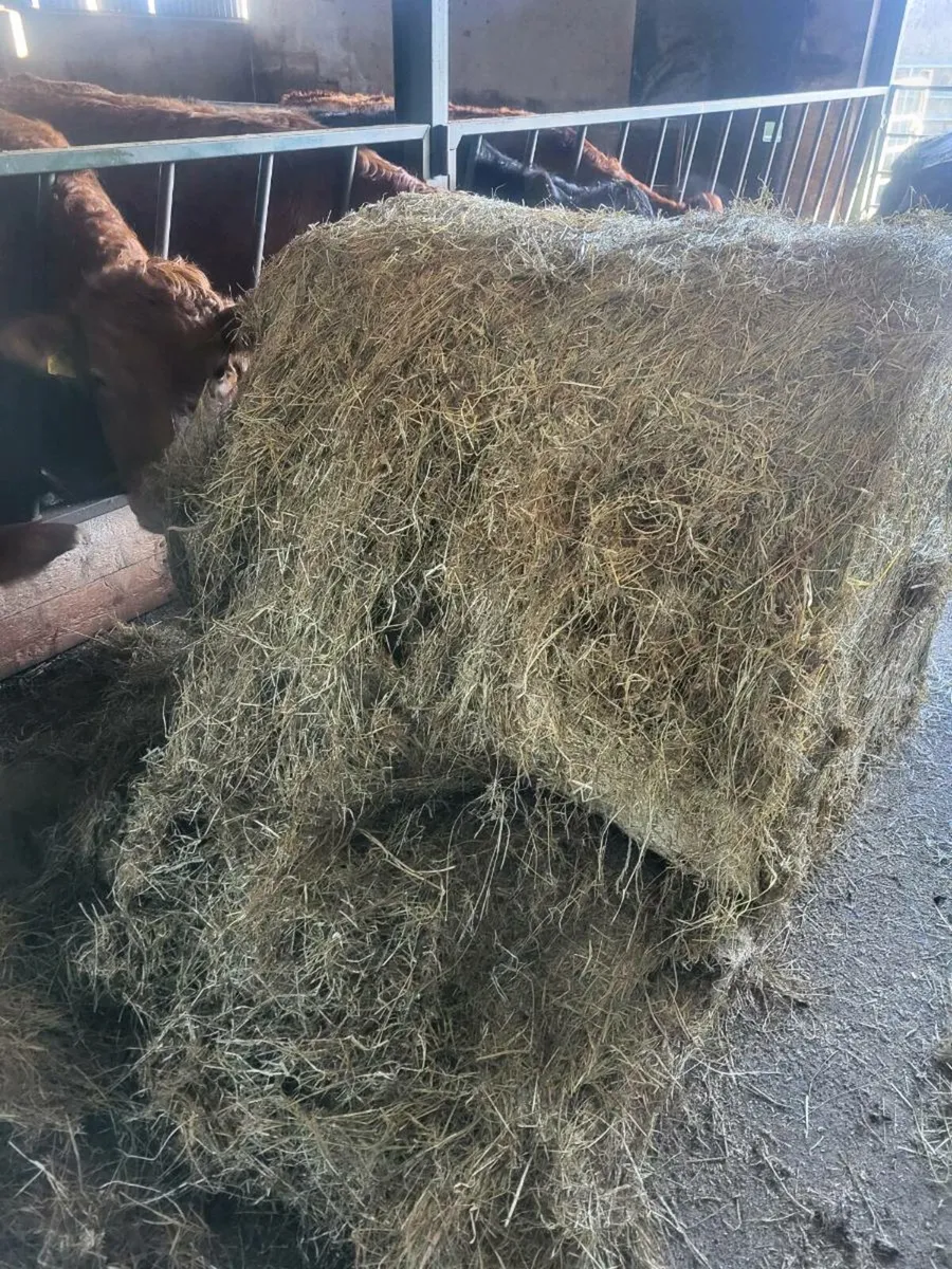 Haylage - Image 2