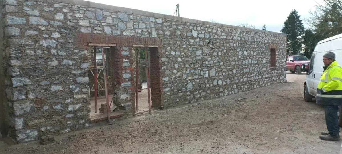 Moblast stone restoration - Image 2