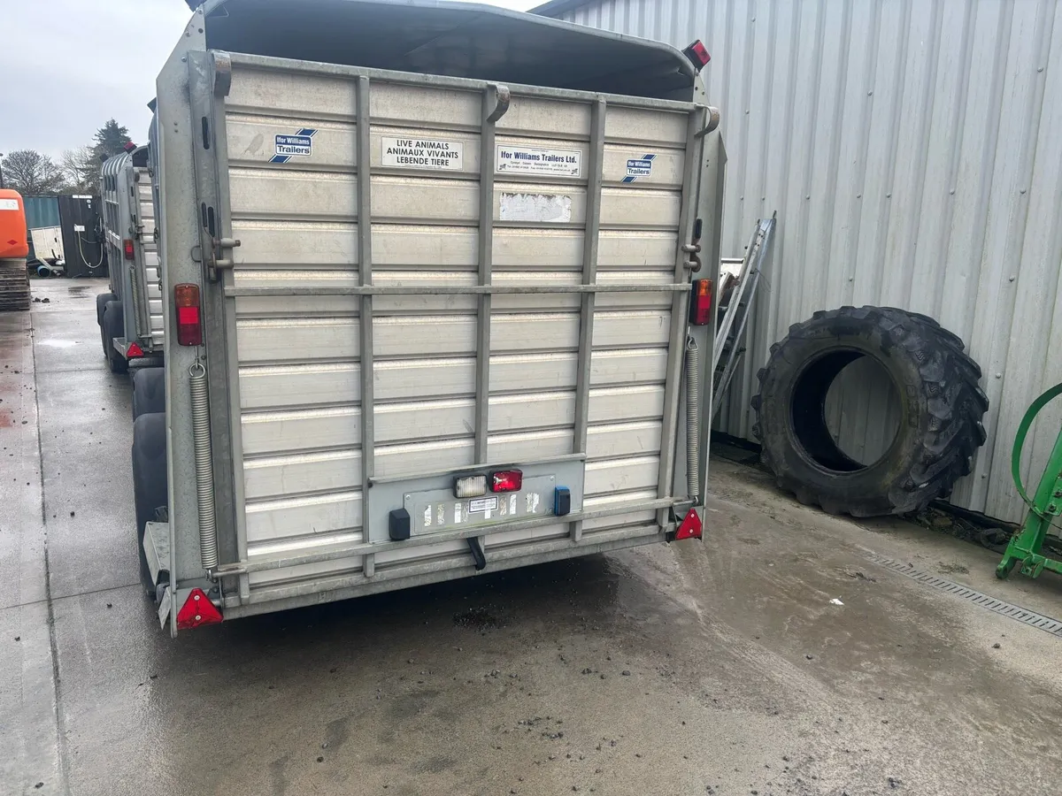 Ifor Williams 12x6 Livestock Trailers x2 - Image 2