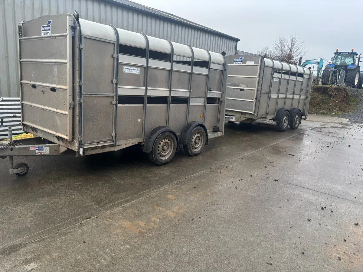 Ifor Williams 12x6 Livestock Trailers x2 - Image 4