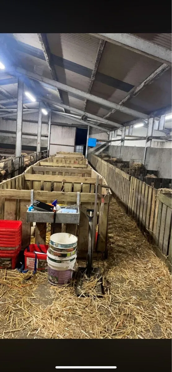 Wooden sheep hurdles - Image 1