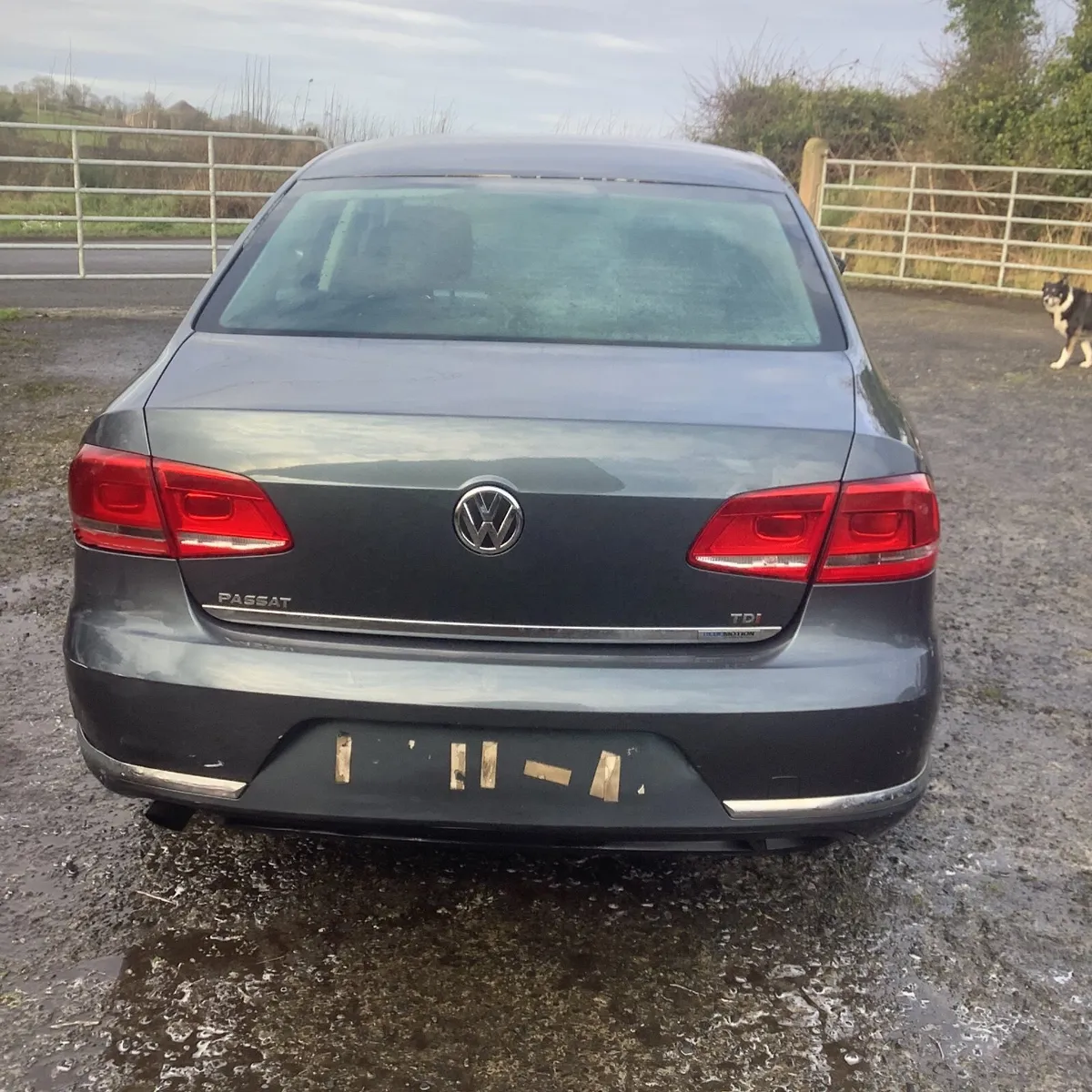 Volkswagen Passat 1.6 tdi 2013  breaking parts - Image 2