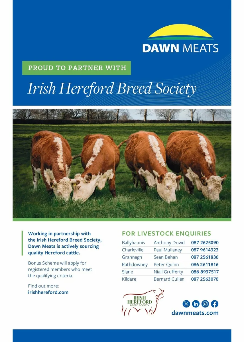 Hereford Beef Bonus Scheme - Image 1