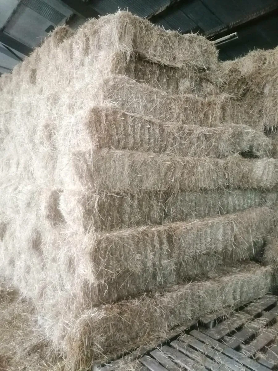 Hay - Image 1