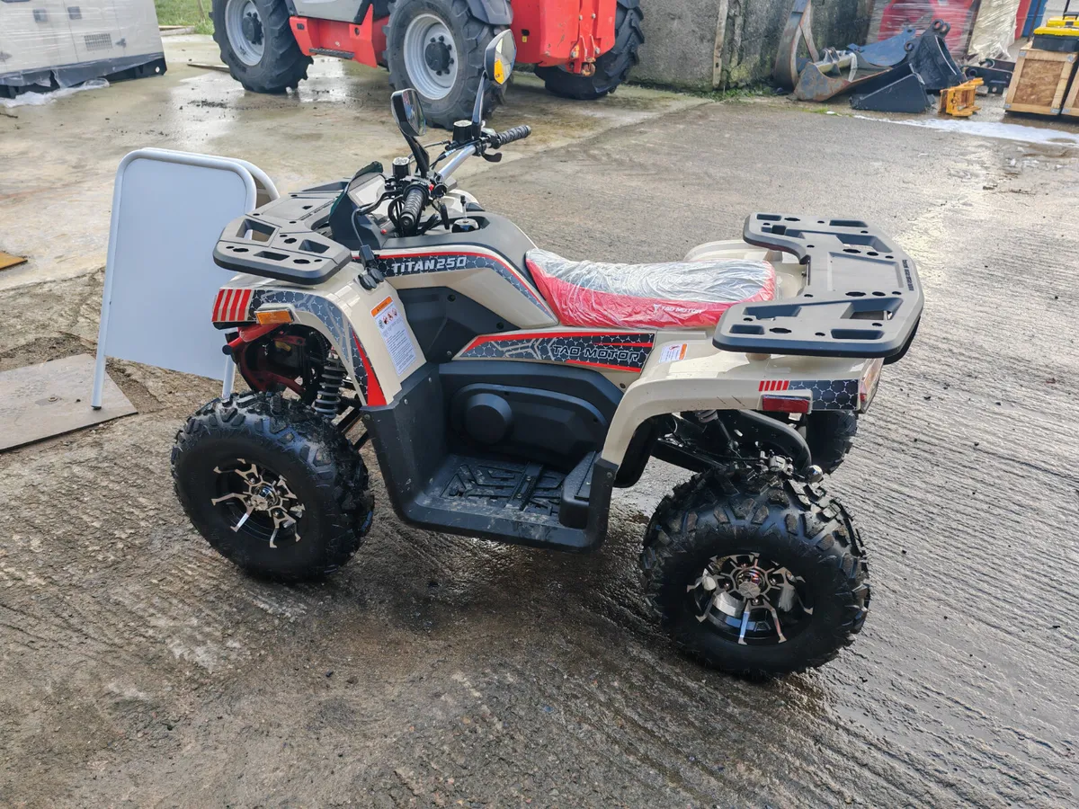 Quad Titan 250 unused - Image 4