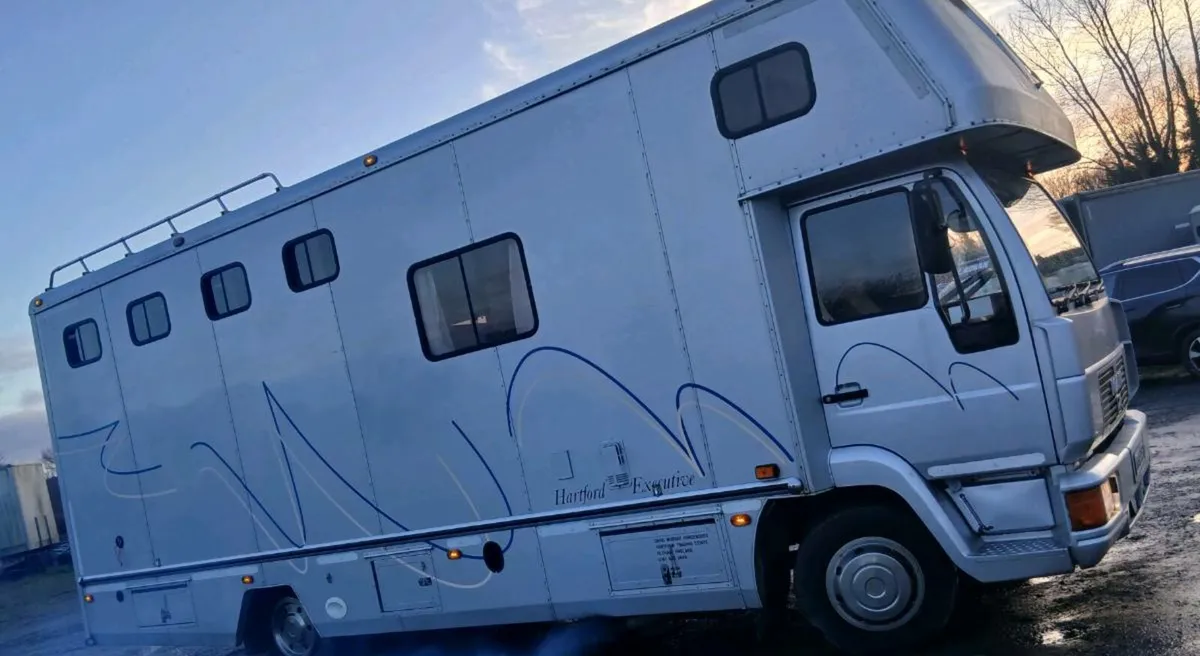 MAN 3 horse lorry - Image 2