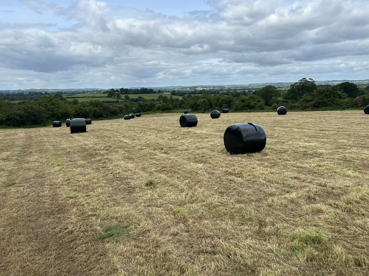 Silage Bales - Image 1